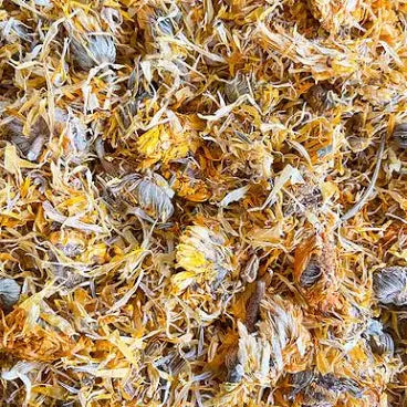 Organic Calendula Flowers (Calendula officinalis) – Premium Dried Botanical – U.S. Origin