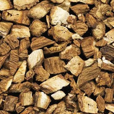 Burdock Root (Arctium lappa) c/s – Premium Dried Botanical