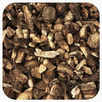 Burdock Root (Arctium lappa) c/s – Premium Dried Botanical