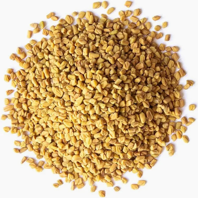 Fenugreek Seed Whole (Trigonella foenum-graecum) – Premium Dried Botanical